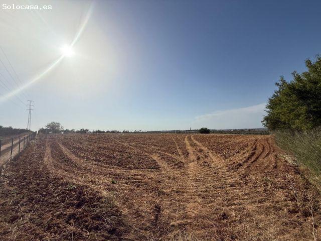 Terreno rural en Venta en Pilas, Sevilla