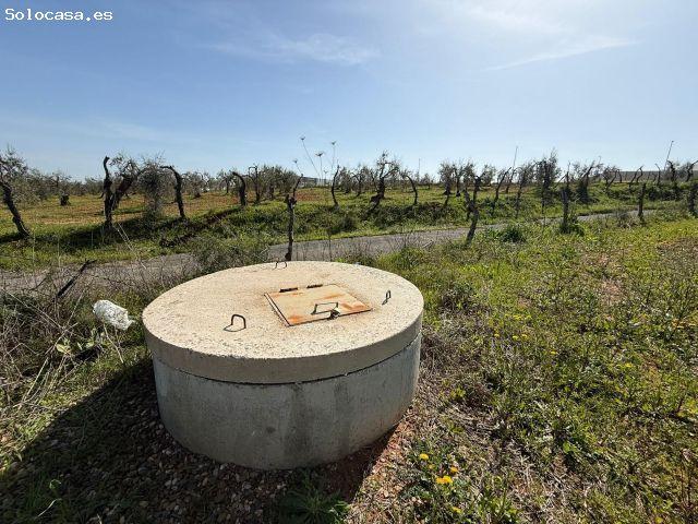 Terreno rural en Venta en Pilas, Sevilla