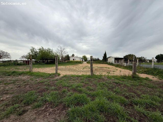 Terreno rural en Venta en Pilas, Sevilla