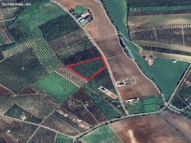 Terreno rural en venta en Pilas