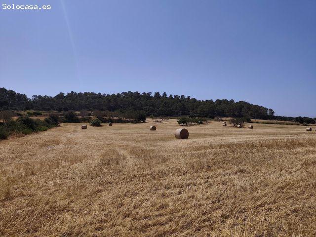 Terreno rural en Venta en Porreres, Islas Baleares