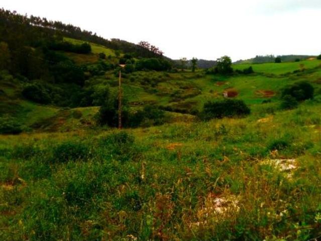 Terreno rural en Venta en Reocín de los Molinos, Cantabria