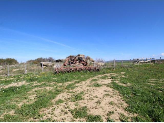 Terreno rural en Venta en Sádaba, Zaragoza