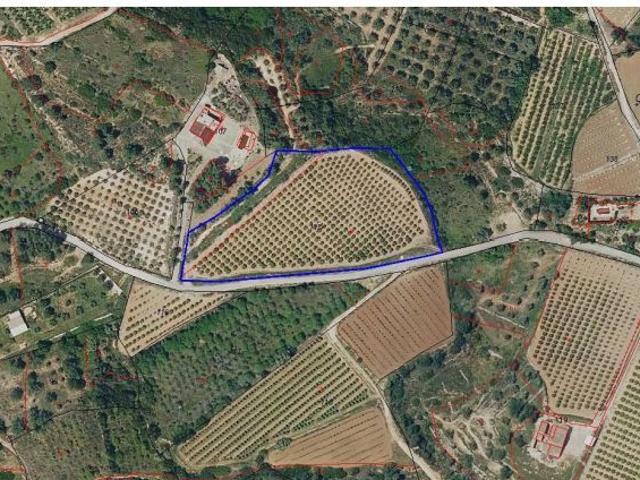 Terreno rural en Venta en Sant Martí de Tous, Valencia