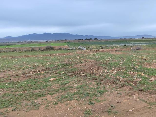 Terreno Rural en Venta en Totana