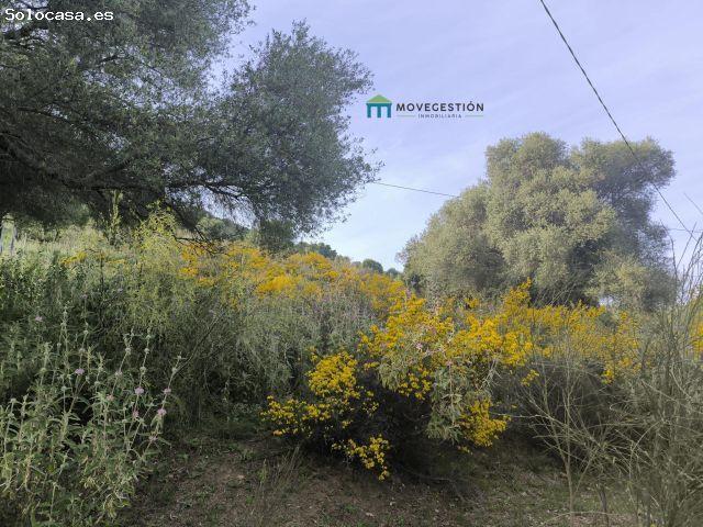 Terreno rural en Venta en Ubrique, Cádiz