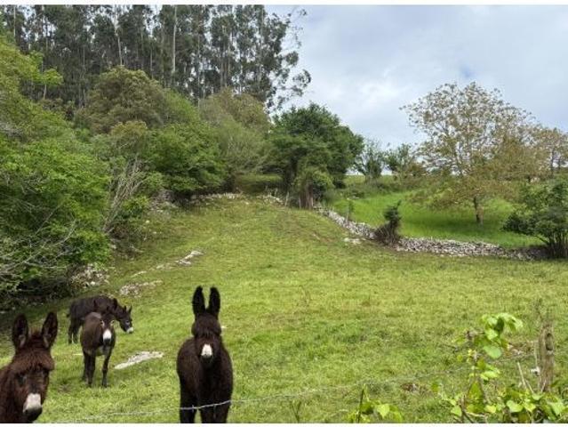 Terreno rural en Venta en Valdaliga, Cantabria