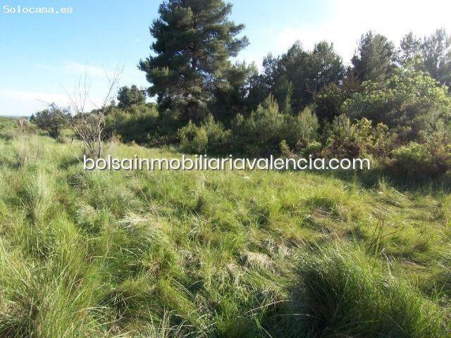 Terreno rural en Venta en Valencia de las Torres, Valencia