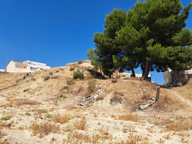Terreno rural en venta. Lorqui