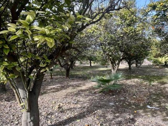 Terreno rural en zona residencial