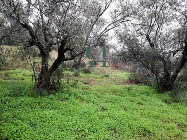 Terreno Rural en Zona Risco Sierra de Fuentes