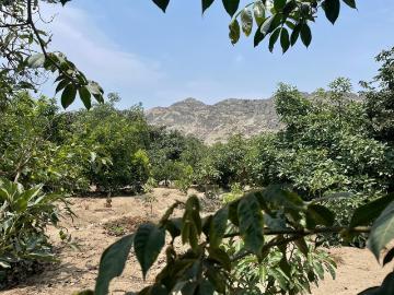 Terreno Rural Ideal para Proyecto Agrícola o Casa Huerta