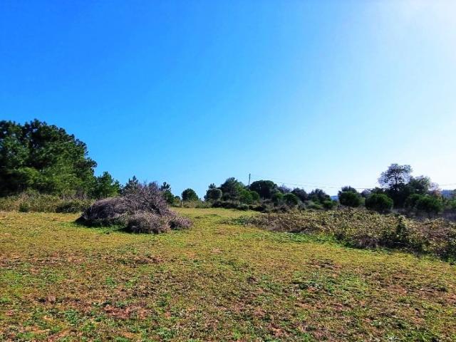 Terreno rural T0, Odiáxere, Lagos | BPI Expresso Imobiliário