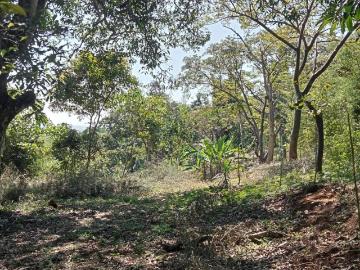 TERRENO RURAL UBICADO 5 MINUTOS DE TEOCELO
