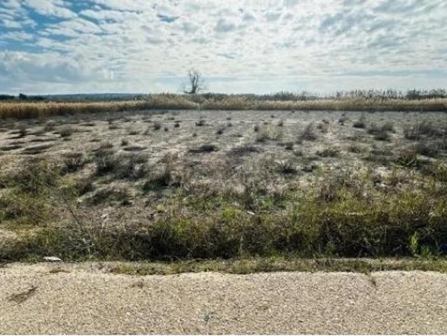 terreno rural, zona la Marina