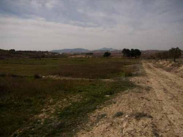 TERRENO RURAL