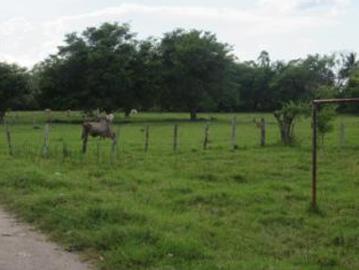 Terreno R?stico en Venta en Jalpa de M?ndez, Tabasco