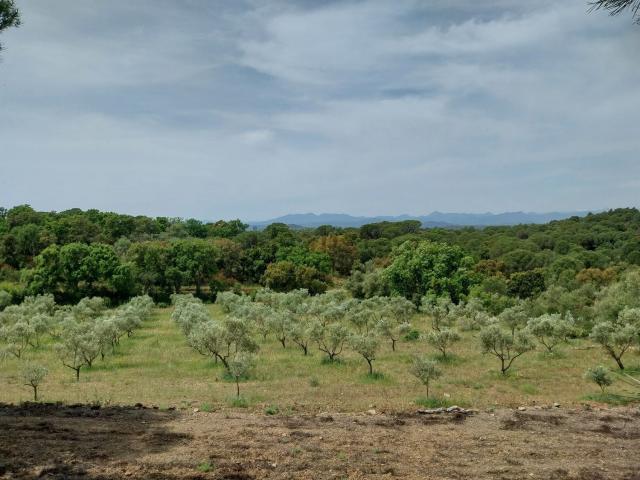 Terreno, Rabos