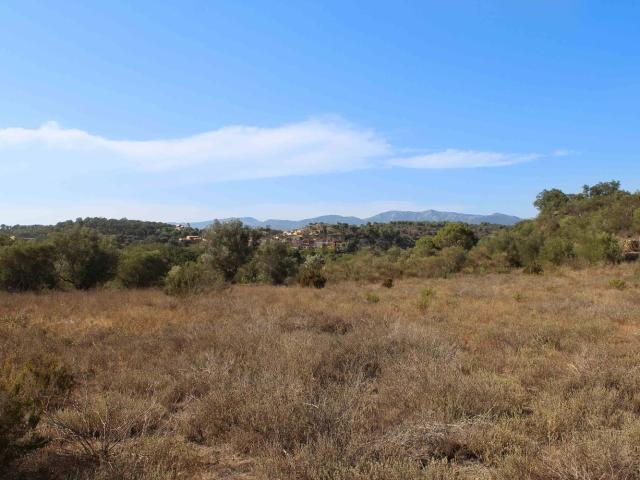 Terreno, Rabos