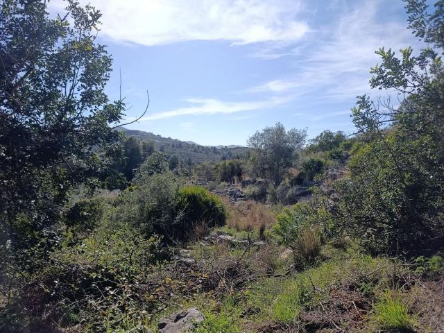Terreno, Rafol de Almunia