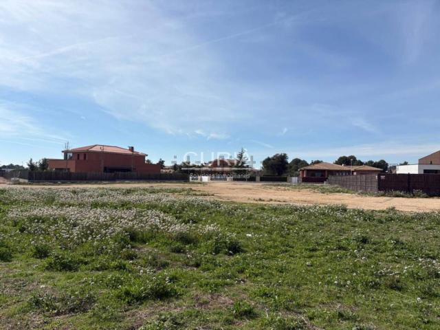 Terreno, Raimat