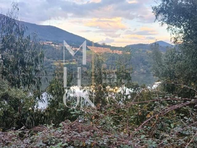 Terreno, Raiva