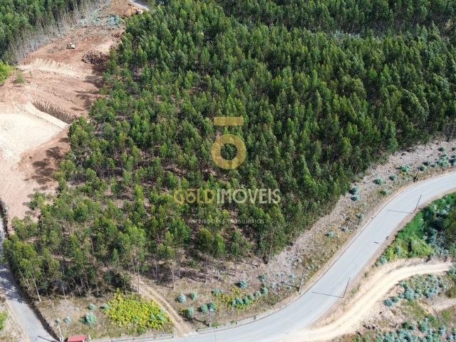 Terreno, Raiva