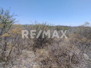 TERRENO RANCHO CERRO PRIETO CARRETERA TLACOTE 4