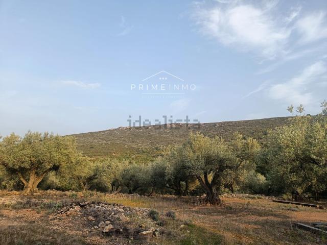 Terreno, Rasquera