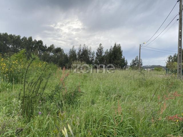 Terreno, Recardães e Espinhel
