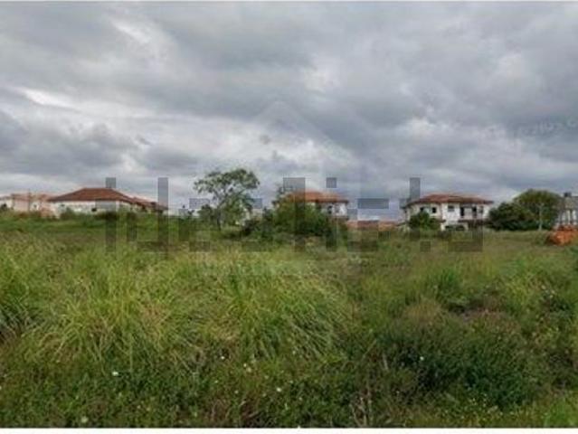 Terreno, Recardães e Espinhel