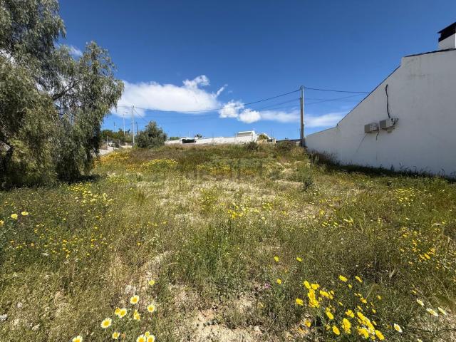 Terreno, Rebolledo