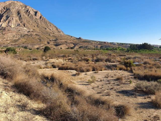 Terreno, Ciudad de Asís Font Calent El Bacarot, Alicante / Alacant