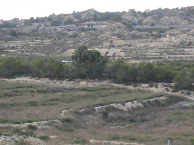 Terreno, Rebolledo