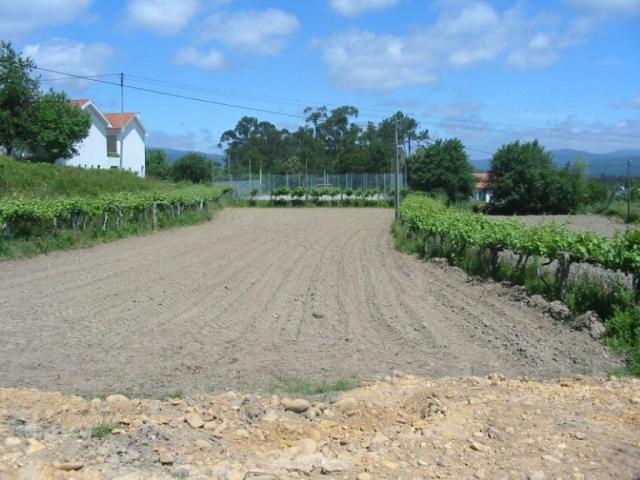 Terreno, Reboreda e Nogueira, Vila Nova de Cerveira | BPI Expresso Imobiliário