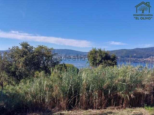Terreno, Redondela
