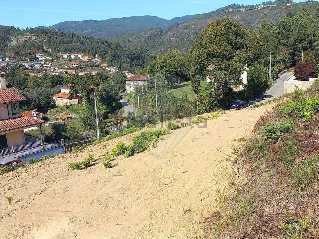 Terreno, Painzela