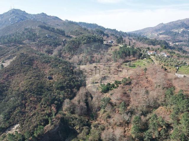 Terreno, Refojos de Basto