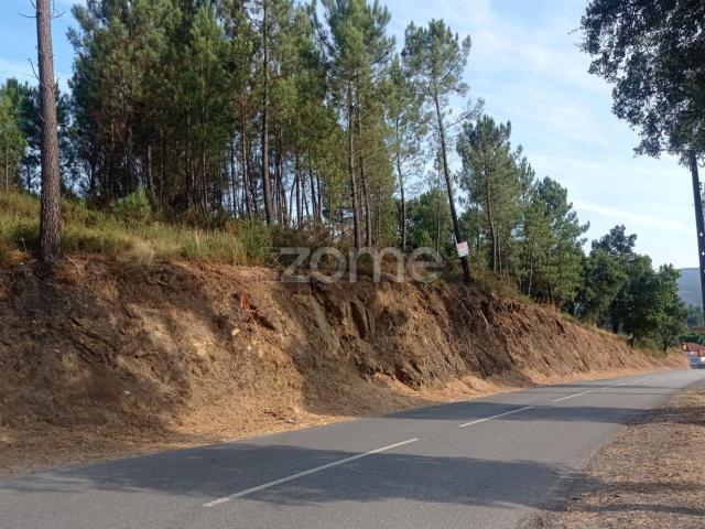 Terreno, Refojos de Basto