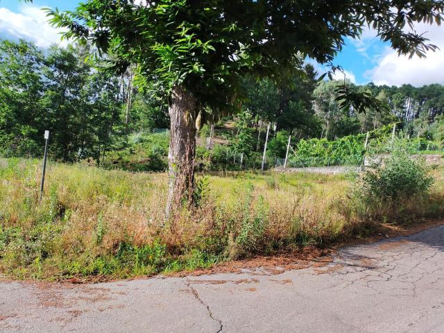 Terreno, Refojos de Basto