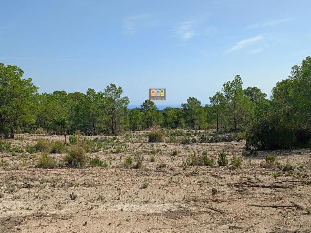Terreno, Relleu