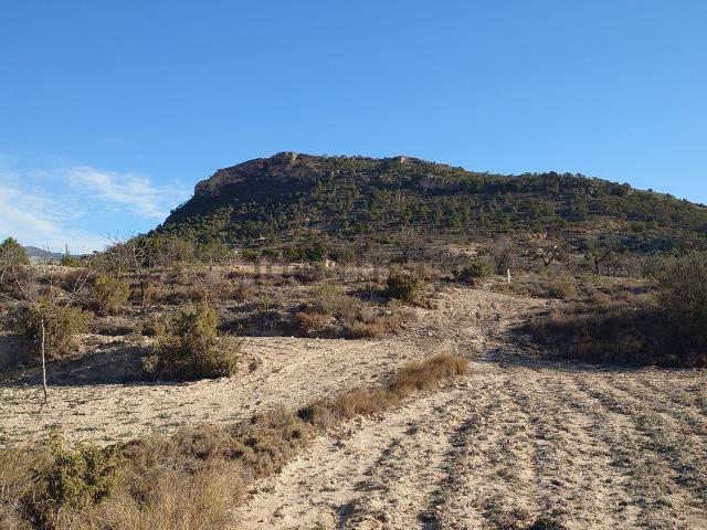 Terreno, Relleu
