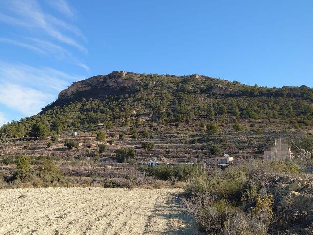 Terreno, Relleu