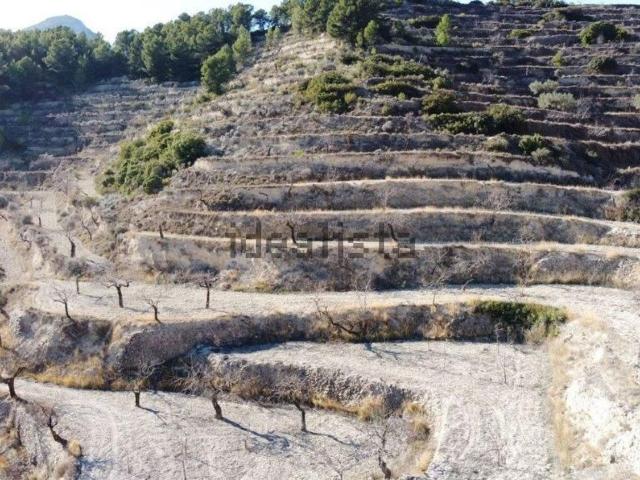 Terreno, Relleu