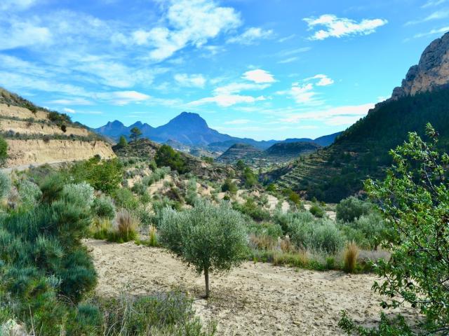 Terreno, Relleu