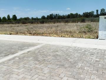 Terreno residencial campestre, muy cerca de la UNAM