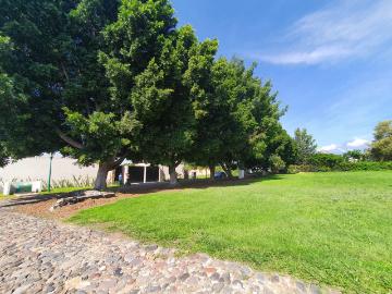 TERRENO RESIDENCIAL EN ATLIXCO, PUEBLA