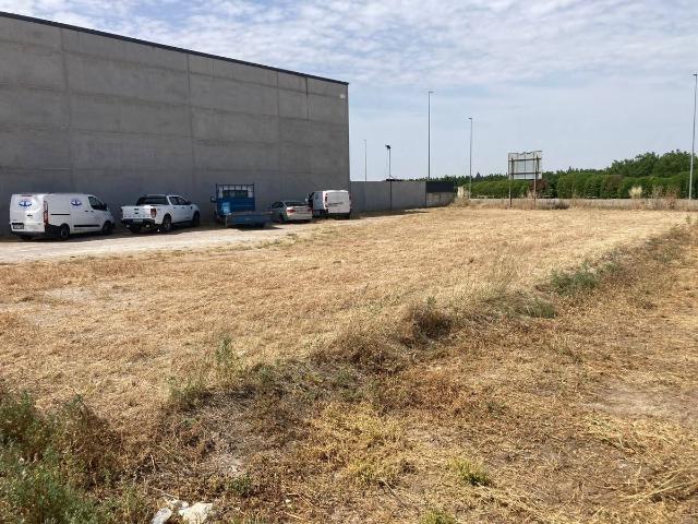 Terreno residencial en Alquiler en El Palau d'Anglesola