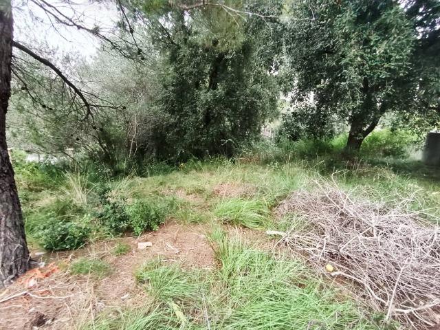 Terreno residencial en Alquiler en Piera