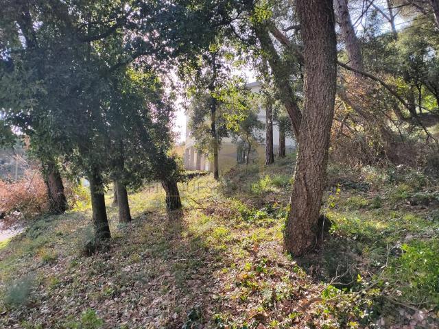Terreno residencial en Alquiler en Sant Pere de Vilamajor